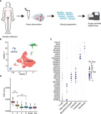 Single-Cell Transcriptome Comparison of Bladder Cancer Reveals Its Ecosystem